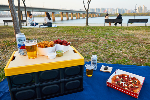 Enjoy Theme Parks and Riverside Picnics at the Hangang River