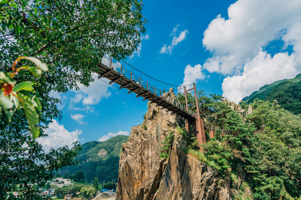 Chungju Nature Tour: River & Mountain View