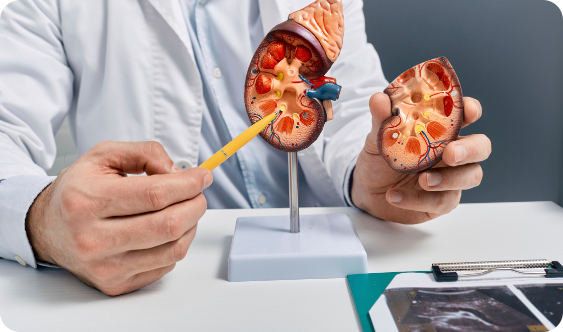 Urology <!-- MK_Recom.quration.card8 -->